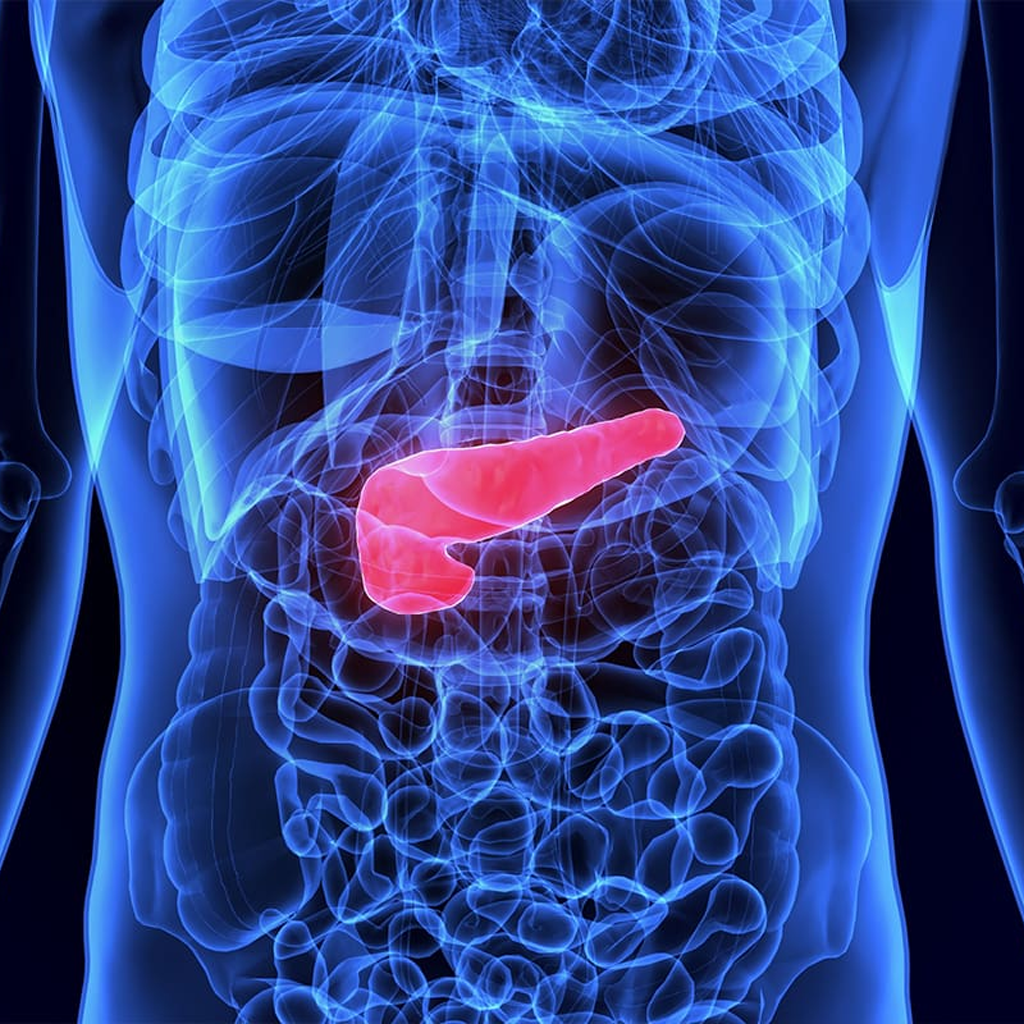 3D medical illustration of pancreas highlighting insulin resistance and HOMA index evaluation