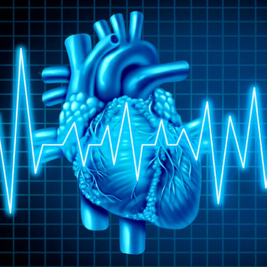 Electrocardiograma