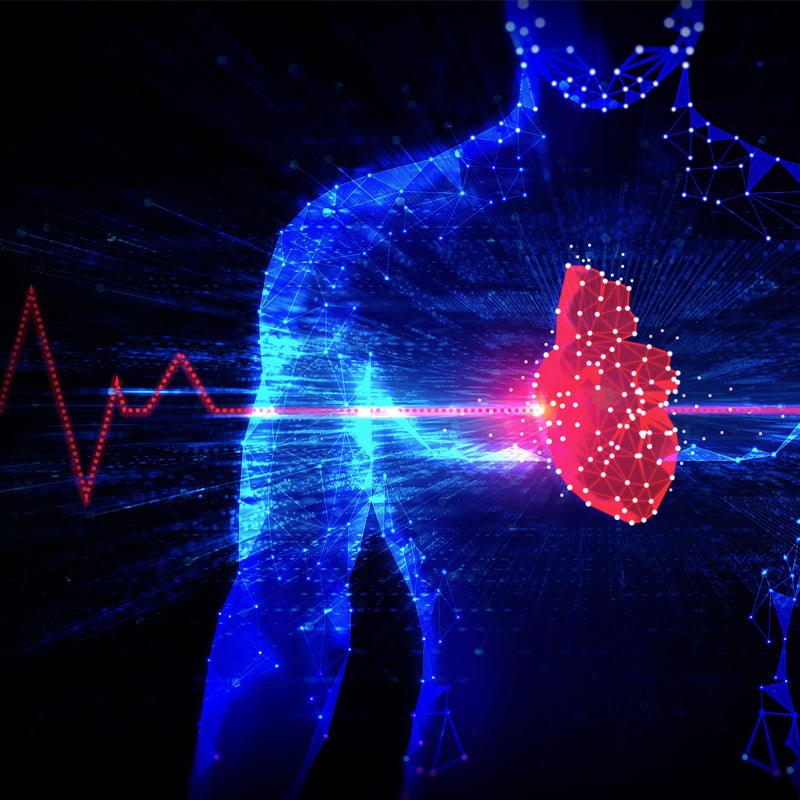 Electrocardiograma - Omedic es una herramienta fundamental en la evaluación de la salud cardíaca, ya que proporciona información importante sobre la actividad eléctrica de